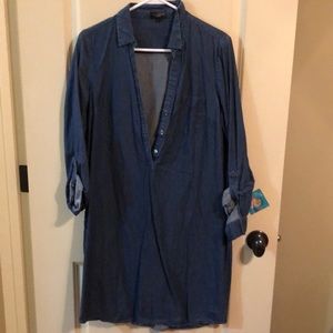 Chambray Ashton dress from the Limited